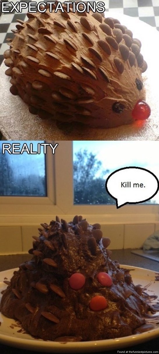 Hedgehog-cake-Expectation-vs-reality