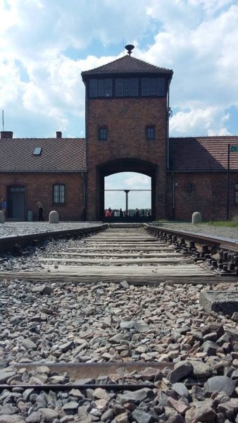 13241268_1111463308910832_8813138762508781883_n