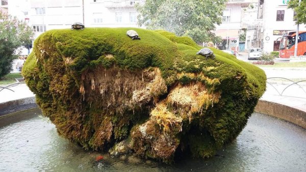 13912724_1166786576711838_6964297721131969985_n