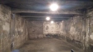 13248564_1111463108910852_3977589956106476005_o